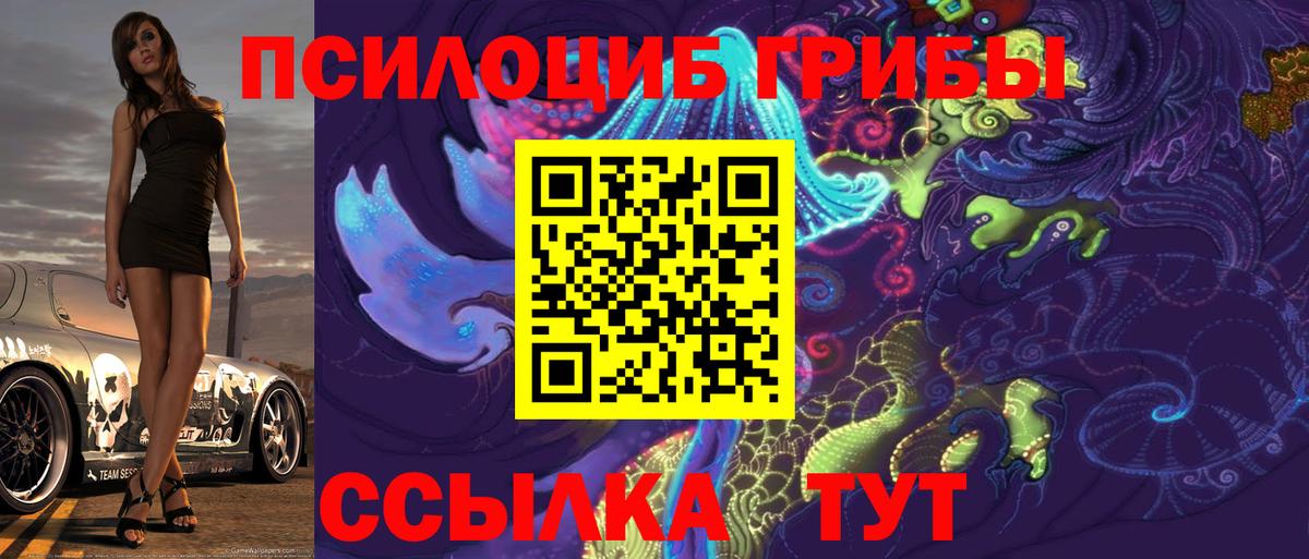 Псилоцибиновые грибы Psilocybine cubensis Красный Сулин