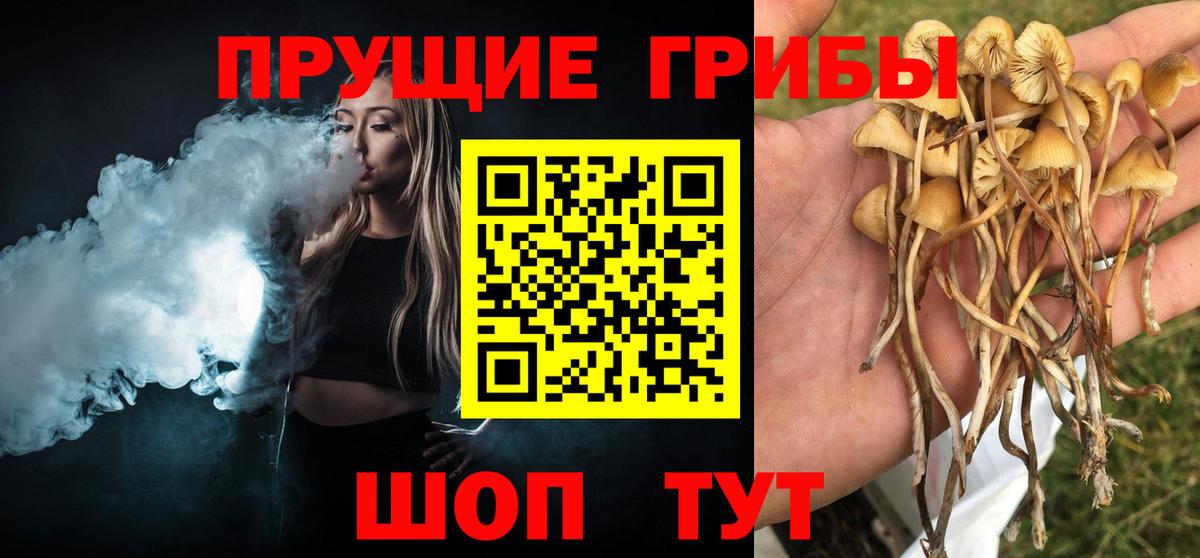 Псилоцибиновые грибы прущие грибы  Псилоцибиновые грибы Magic Shrooms  Красный Сулин  Вход с VPN 